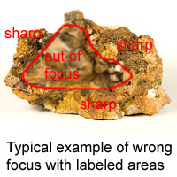 Example of picture with wrong focus